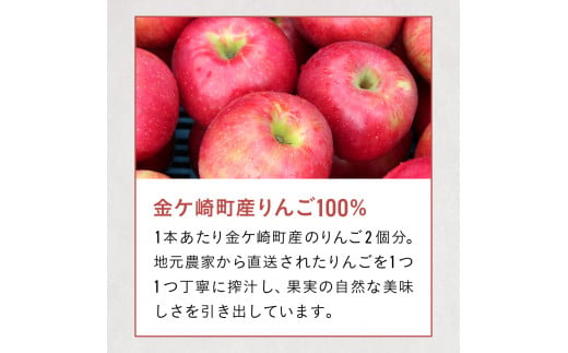 【定期便/3ヶ月】シードル ドライ りんご 果実酒 ベアレンビール 330ml 12本 金ケ崎町産 リンゴ 林檎