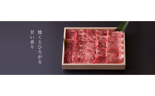 【数量限定】幻の松阪牛　特産松阪牛の焼肉500ｇ　CDY-03  ／ 国産牛 松阪牛 松坂牛 高級和牛 黒毛和牛 ブランド牛（ 近江牛 神戸牛 に並ぶ 日本三大和牛 ） 霜降り 冷凍 焼き肉 焼肉 ふるさと納税 送料無料 牛肉 にく 大人気 贅沢 おすすめ 贈り物 リピート 三重県 多気町