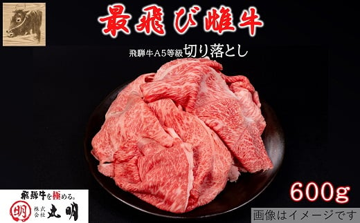 ＜最飛び雌牛＞飛騨牛A5等級切り落とし　600g【1520140】