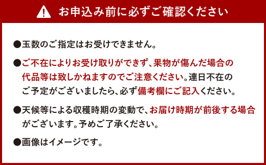 お申し込み前に必ずご確認ください。