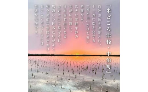 令和5年産 小野やファームのお米 「まっしぐら」 15kg（5kg×3袋） 【小野や】 米 こめ コメ お米 白米 精米 津軽 予約 青森 中泊町 F6N-091