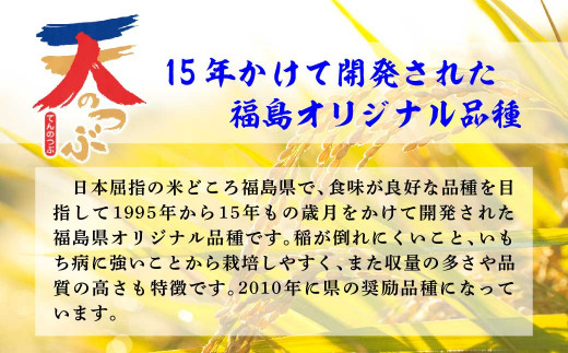 ＜毎月定期便＞＜米定期便＞天のつぶ5Kg×4ヵ月　計20kg全4回　【07461-0034】