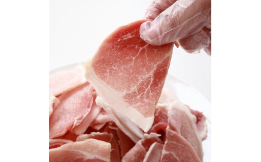 ＜小分けで便利＞国産 元気豚 切り落とし 3kg(500g×6袋)　千葉県産三元豚　パラパラ凍結【1032617】