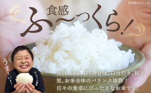 【令和6年産】みやぎ川崎産 つや姫 10kg（玄米）【04324-0267】