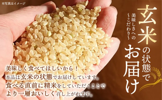 【令和6年産】みやぎ川崎産 つや姫 10kg（玄米）【04324-0267】