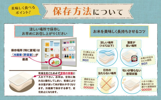 【通常精米】令和6年産　はえぬき10㎏（5㎏×2袋）