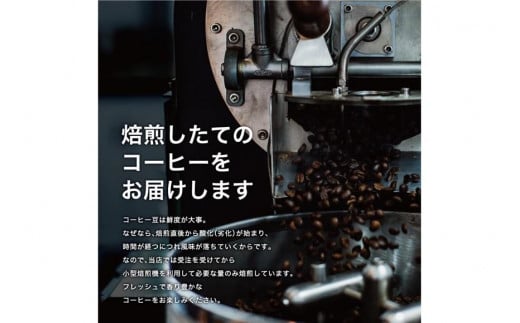 【６か月定期便】焙煎士お任せ100g×3種類セット[豆のまま] 受注自家焙煎 珈琲豆 コーヒー豆