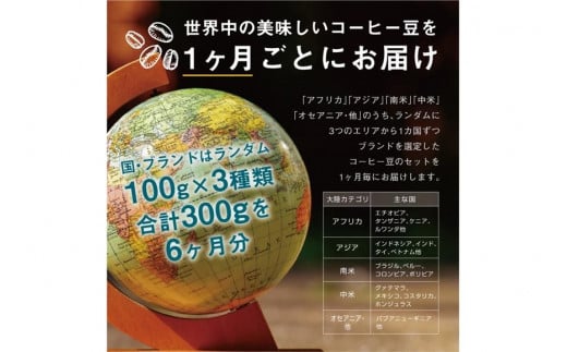 【６か月定期便】焙煎士お任せ100g×3種類セット[豆のまま] 受注自家焙煎 珈琲豆 コーヒー豆