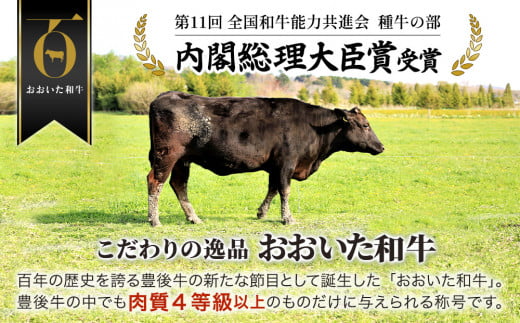 おおいた和牛 もも生ハム 50g×10P 牛肉 黒毛和牛 ブランド牛 黒毛和牛 モモ肉 もも肉 ミートクレスト 大分県産 九州産 津久見市 国産