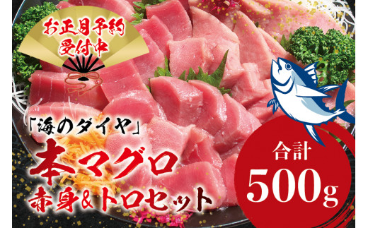 本マグロ（養殖）トロ＆赤身セット 500g 【12月26日～30日に発送】高級 クロマグロ  中トロ 中とろ まぐろ マグロ 鮪 赤身 柵 じゃばらまぐろ 年内配送 年内発送 お正月 正月【nks110B-sg】