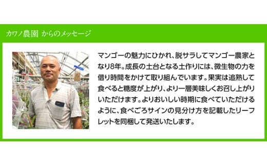 【令和7年発送】宮崎県産完熟マンゴー「果実の宝石」　4L×2玉 【 果物 フルーツ マンゴー 宮崎県産 みやざきマンゴー 先行予約 数量限定 期間限定 】