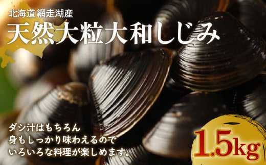 厳選！網走湖産大粒天然大和しじみ1.5kg 【 ふるさと納税 人気 おすすめ ランキング しじみ シジミ 蜆 貝 しじみ貝 シジミ貝 蜆貝 海鮮 ダシ汁 味噌汁 1.5kg 新鮮 冷凍 料理 網走湖 北海道 大空町 送料無料 】 OSA010