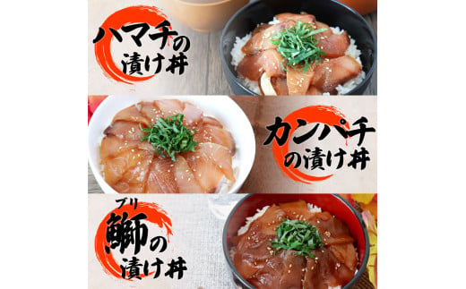 【ふるさと納税】これが魚屋の漬け丼だ！海鮮5種食べ比べセット 80g×10P 12ヶ月定期便 訳あり 鮪 マグロ ハマチ 鯛 タイ カンパチ ブリ 海鮮丼 おかず 惣菜 魚 魚介類 個包装 小分け 真空パック お取り寄せ 冷凍 配送 高知県 田野町 ふるさとのうぜい 故郷納税 返礼品