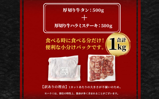 【訳あり】 厚切り牛ハラミ ミニステーキ＆厚切り牛タンセット 合計1kg 牛肉 肉 ステーキ ハラミ 牛タン 熊本県 水上村