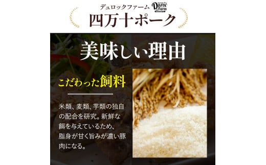 リピート率No.1商品！ブランドポーク100％使用！旨味を瞬間冷凍パラパラミンチ1kg（500g×2）Adf-A07 ひき肉 豚ひき肉 冷凍肉 ブランドポーク 国産豚肉 国産 ミンチ 小分け