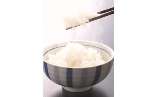 米 にじのきらめき 和歌山県産 5kg（2024年産）  産地直送 米 こめ ご飯 ごはん ※2024年9月25日以降順次発送予定 （お届け日指定不可）【sml115B】