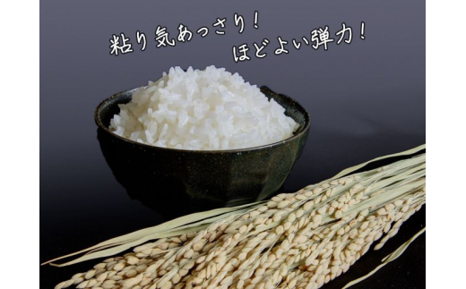 新米 令和6年産 まっしぐら 白米 5kg 1袋 米 精米 こめ お米 おこめ コメ ご飯 ごはん 令和6年 H.GREENWORK 青森 青森県