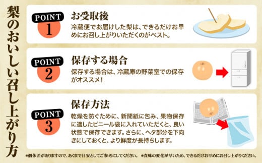 【2025年 先行予約】 梨 旬の梨 凜夏 和梨 約 3kg 秋 旬 熊本県 荒尾市産 髙口果樹園《2025年8月中旬-9月上旬頃出荷》フルーツ 果物