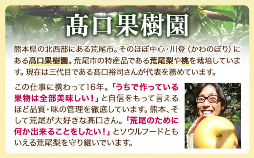 【2025年 先行予約】 梨 旬の梨 凜夏 和梨 約 3kg 秋 旬 熊本県 荒尾市産 髙口果樹園《2025年8月中旬-9月上旬頃出荷》フルーツ 果物