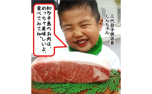 高級4等級使用!! 【サーロインステーキ】250g4枚 『知多牛』生肉で送ります!!◇ ※北海道・沖縄・離島の方は量が異なりますので、下記内容量欄で確認してください。