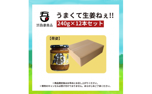 うまくて生姜ねぇ!!12本セット 【しょうが 国産 醤油漬け ごはんのお供 お弁当 調味料 おつまみ 肴 薬味 隠し味 猪苗代町 福島県】[№5771-1317]