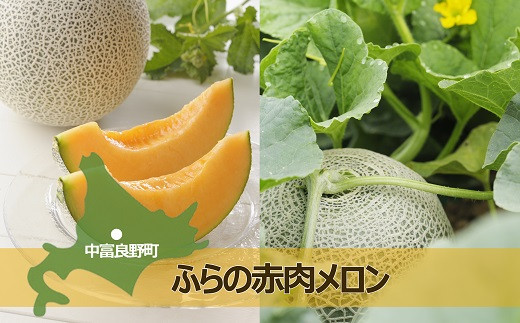 ふらの赤肉メロン2玉　品種食べ比べ （Lサイズ）