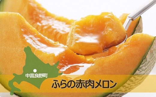 ふらの赤肉メロン2玉　品種食べ比べ （Lサイズ）