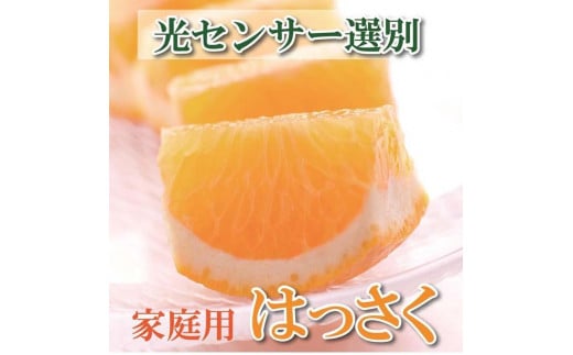 ＜4月より発送＞家庭用 樹上完熟はっさく10kg+300g（傷み補償分）【八朔】【わけあり・訳あり】【さつき・木成】