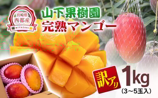 今が旬！【マンゴー専門 山下果樹園】ご家庭用完熟マンゴー 1kg