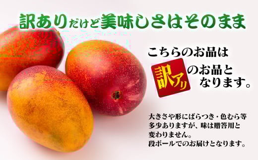摘果マンゴー 中柚子様専用 宮崎県産摘果マンゴー ⑤