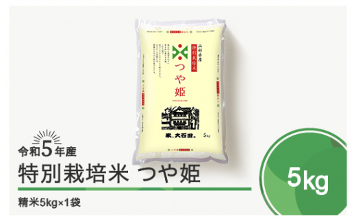 令和6年5月上旬発送 つや姫5㎏ 精米  令和5年産