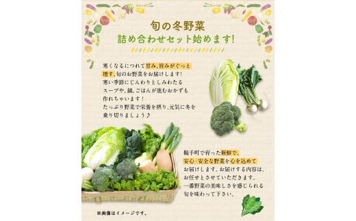 冬 野菜 セット 約5kg 花田農園《11月上旬から3月中旬頃出荷》白菜 大根 大葉 里芋 春菊 キャベツ 水菜 リーフレタス ブロッコリー ロマネスコ 鞍手郡