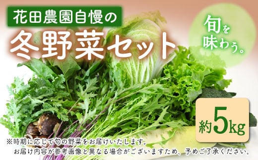 冬 野菜 セット 約5kg 花田農園《11月上旬から3月中旬頃出荷》白菜 大根 大葉 里芋 春菊 キャベツ 水菜 リーフレタス ブロッコリー ロマネスコ 鞍手郡