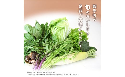 冬 野菜 セット 約5kg 花田農園《11月上旬から3月中旬頃出荷》白菜 大根 大葉 里芋 春菊 キャベツ 水菜 リーフレタス ブロッコリー ロマネスコ 鞍手郡