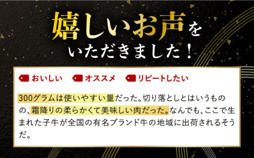 【3回定期便】小分けで使いやすい！ 長崎和牛 切り落とし 600g（300g×2） 肩ロース ロース 小分け 万能 多用途 牛肉 国産 小値賀町 / 有限会社長崎フードサービス [DBL023] 肉 和牛 黒毛和牛 こま切れ 切落し 小間切れ 牛肉 贅沢