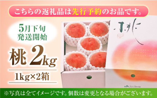 【先行予約　2025年5月下旬より発送】 桃 化粧箱入り 約2kg（約1kg×2箱）　広川町 / JAふくおか八女農産物直売所どろや [AFAB062]