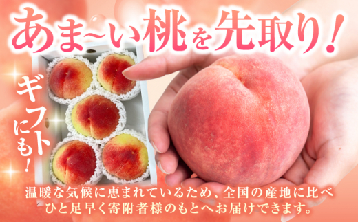 【先行予約　2025年5月下旬より発送】 桃 化粧箱入り 約2kg（約1kg×2箱）　広川町 / JAふくおか八女農産物直売所どろや [AFAB062]