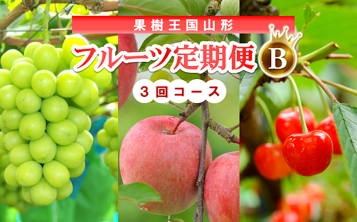 【令和7年産先行予約】 《定期便3回》 果樹王国山形 南陽のフルーツ定期便B 『マルエ青果』 果物 くだもの フルーツ 山形県 南陽市 [1494-R7]