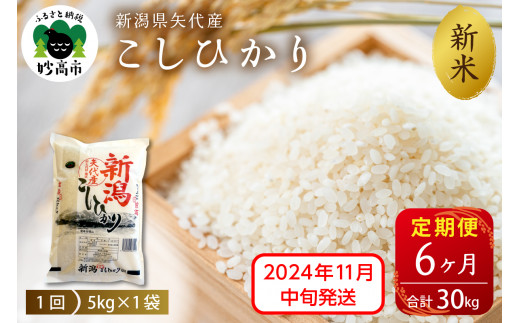 【2024年11月中旬より発送】令和6年産 新潟県矢代産コシヒカリ5kg×6回(計30kg)