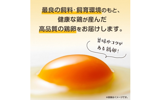 与那原町産の 新鮮 な 卵 160個 ( 赤卵 )_ 生卵 たまご 玉子 鶏卵 まとめ買い 卵かけご飯 朝ごはん 玉子焼き 人気 美味しい 【1408738】