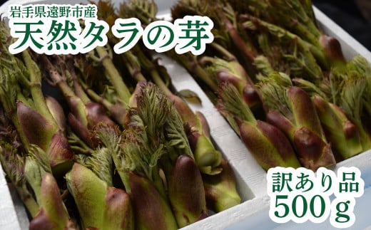 遠野産天然タラの芽500ｇ【訳アリ・不揃い品】