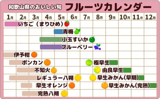 【訳あり】ご家庭用 紀州南高梅 はちみつ漬つぶれ梅 2kg  わけあり 和歌山県産