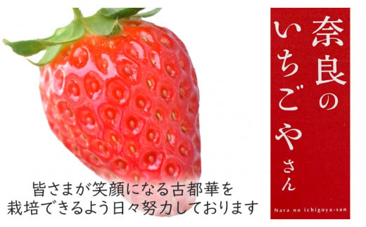 【数量限定】奈良のいちごやさん【古都華】270g×2パック 　3月発送///いちご イチゴ 古都華  旬 果物 フルーツ 農家 直送 甘い 完熟 季節 冬 奈良 奈良県