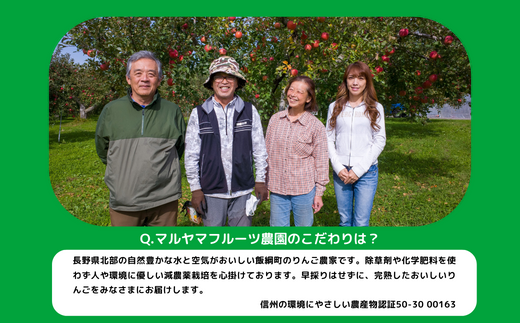 りんご シナノスイート 秀 ～ 特秀 5kg マルヤマフルーツ農園 沖縄県への配送不可 2024年10月中旬頃から2024年10月下旬頃までお申込み順に発送予定 令和6年度収穫分 農産物認証50-30 減農薬栽培 ( 除草剤 化学肥料 不使用 ) 長野県 飯綱町 [0370]