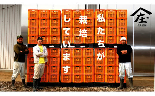 紅はるか 「凍眠」 蒸し芋 ～ まるでアイスのような口どけ～ 紅はるか ヘルシー さつま芋 サツマイモ なめらか 半解凍 自然 おやつ デザート 庄七農園