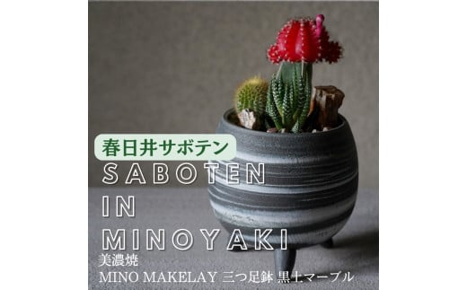 多治見市×春日井市コラボ 【美濃焼】 MINO MAKELAY 三つ足鉢 黒土マーブル ×【日本有数のサボテン産地】春日井市の名店 後藤サボテン 