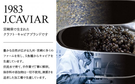 1983 J.CAVIAR バエリ クラシック 特別桐箱セット(100g×4個) ジャパンキャビア_M017-036_02