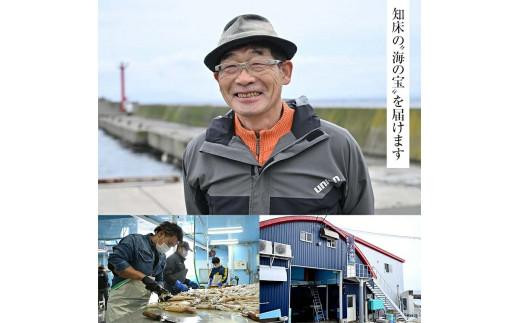 イカ塩辛＆一夜干し いか 開き干し 干物 珍味 おつまみ 羅臼町 北海道 冷凍 生産者 支援 応援