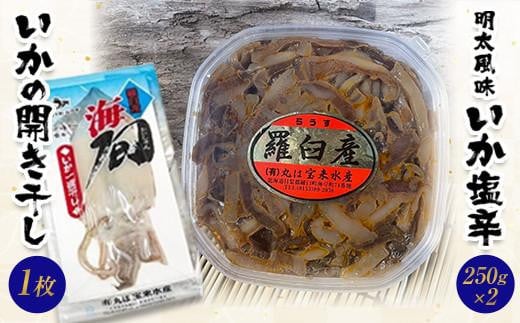 イカ塩辛＆一夜干し いか 開き干し 干物 珍味 おつまみ 羅臼町 北海道 冷凍 生産者 支援 応援