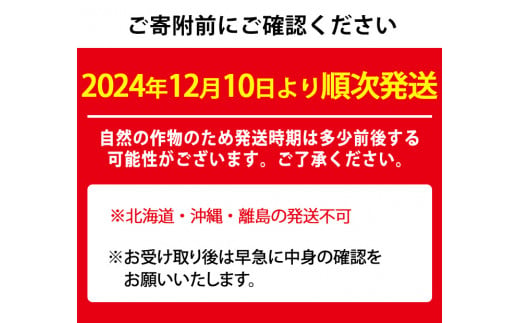 【0113605a】自慢の農家×老舗青果店の新鮮いちご・さがほのか(250g以上×4P) イチゴ 苺 フルーツ 果物 果実 数量限定 期間限定【有留青果】